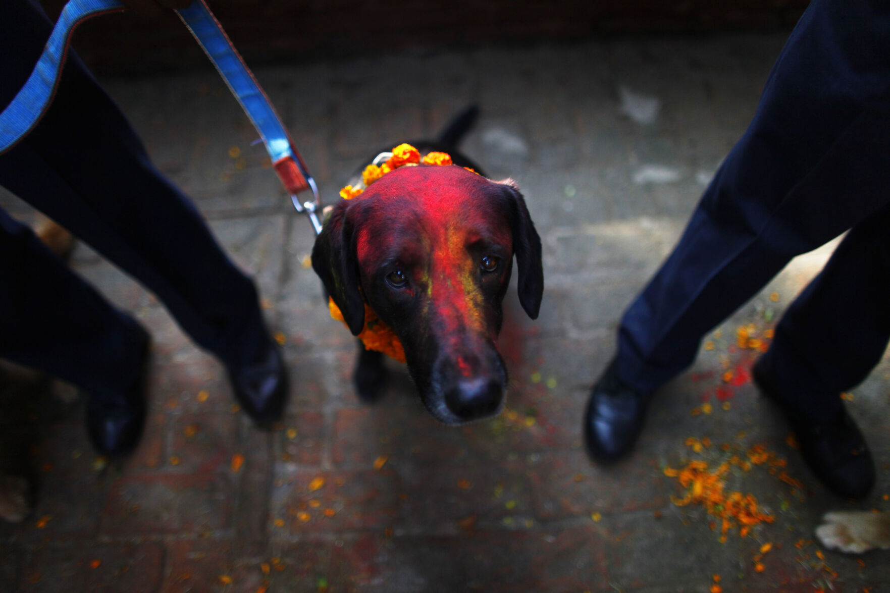 APTOPIX Nepal Hindu Festival